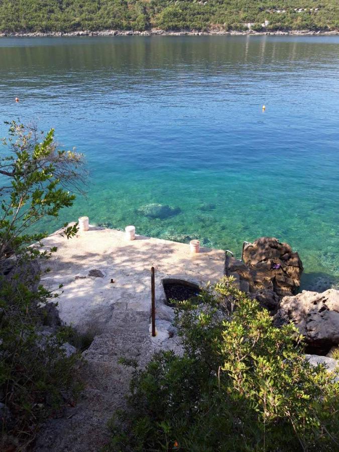Beaute De La Mer كوتور المظهر الخارجي الصورة